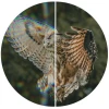 Shengtu High-Definition ED portable binoculars IPX7 argon-filled waterproof bird-watching goggles high-definition wide-field beekeeping goggles Item Picture